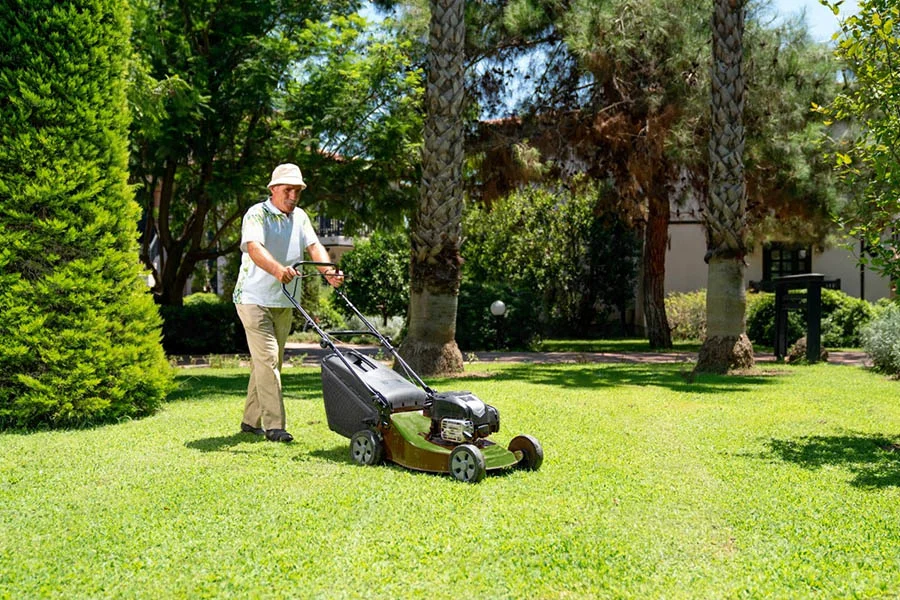 best cordless lawn mower